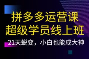 21天蜕变，小白也能成大神（拼多多运营课超级学员线上班）