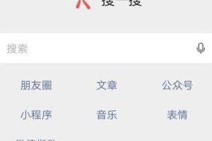打造被动精准引流系统（微信搜一搜霸屏引流技术）