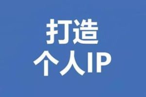 互联网小白打造个人IP实操指南 教你怎样打造出个人IP。