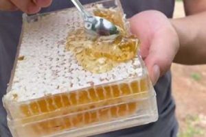 视频号种草的7种表达方式 普通人入局还来得及吗。