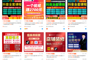 如何利用网课项目实现自动赚钱(如何用蓝鸟号分享网课项目赚钱)