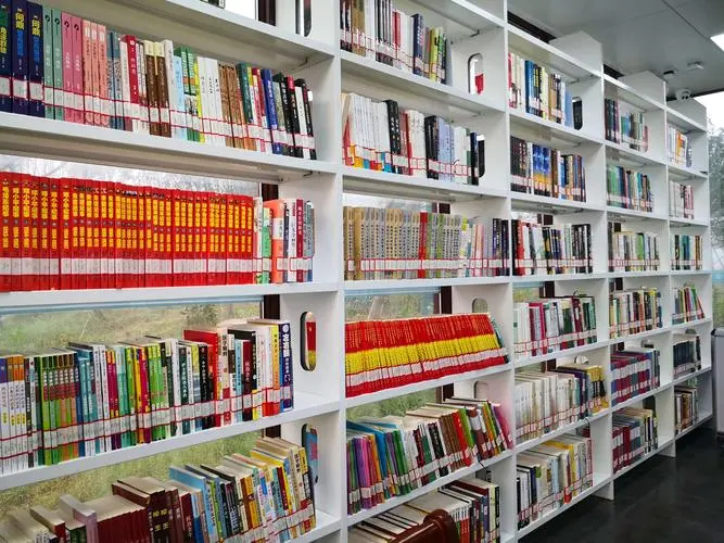 书的类型有哪些种类（书的类型分类解释）