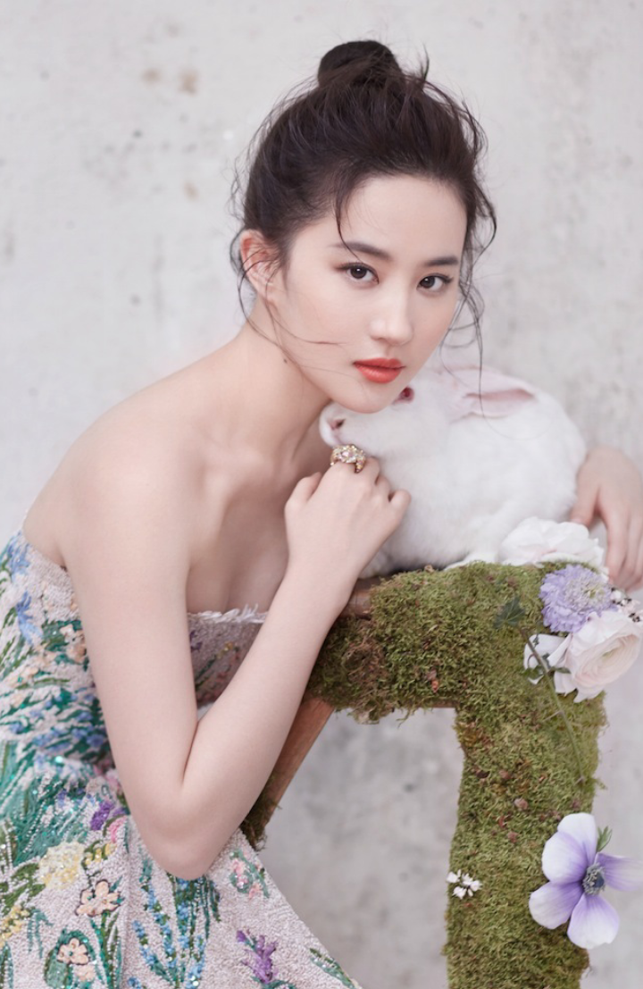 中国美女-中国美女图片(中国美女最多的城市)