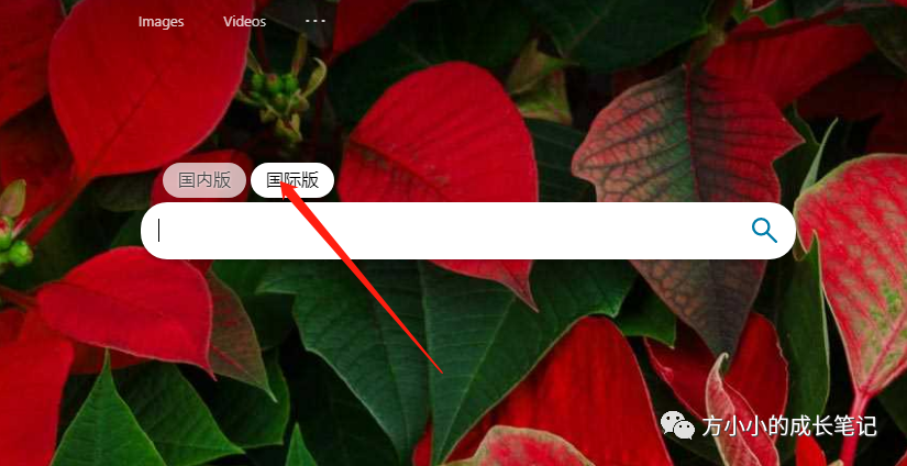 全网热播的免费影视资源,这里都有!