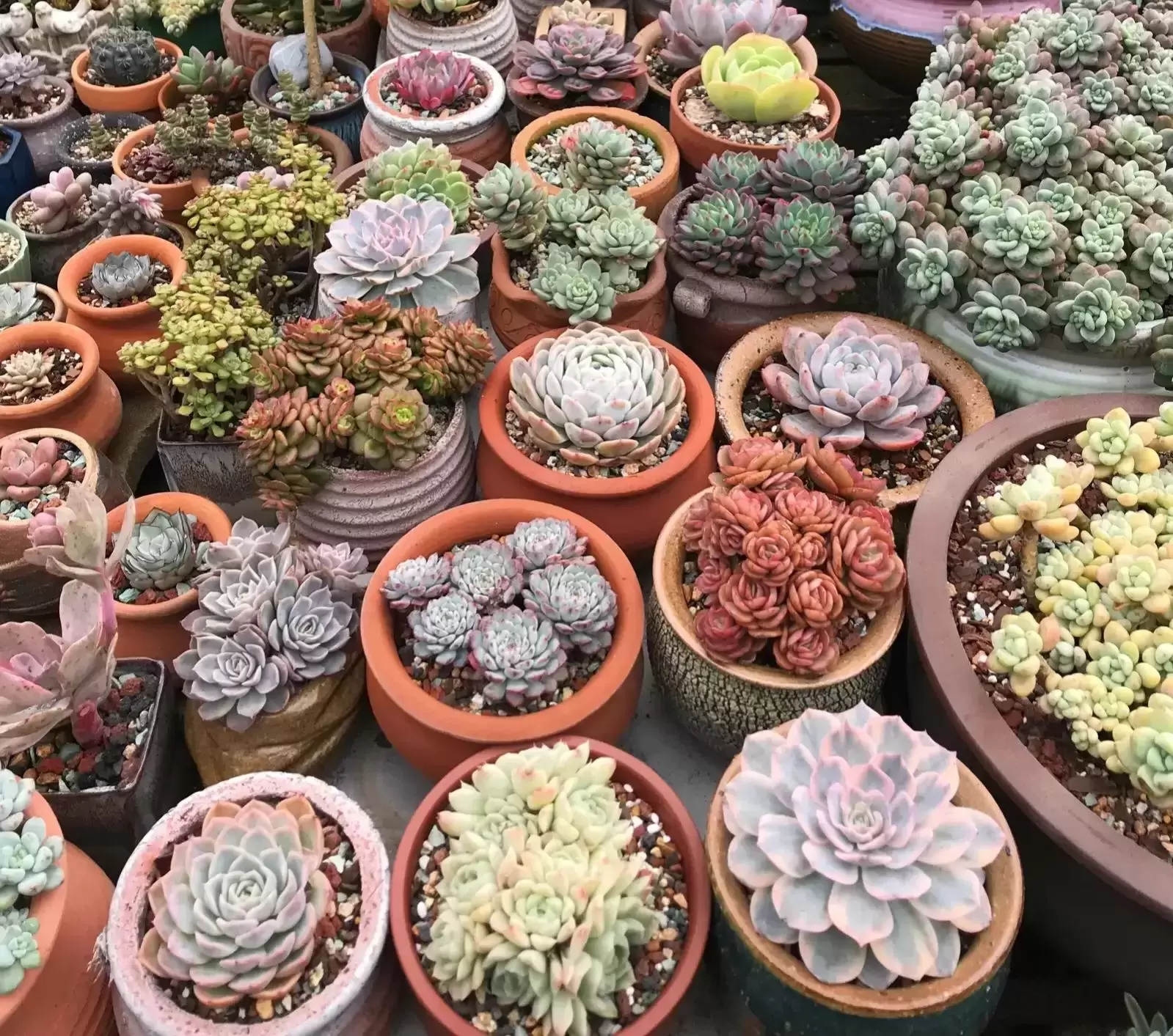 什么生意投资小回本快(这几个小项目能快速赚钱)