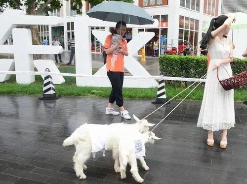 每天收入500稳定的赚钱方法（普通人做什么可以日赚500-1000元？）