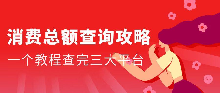 淘宝消费总金额怎么看(淘宝京东拼多多消费总额查询攻略)