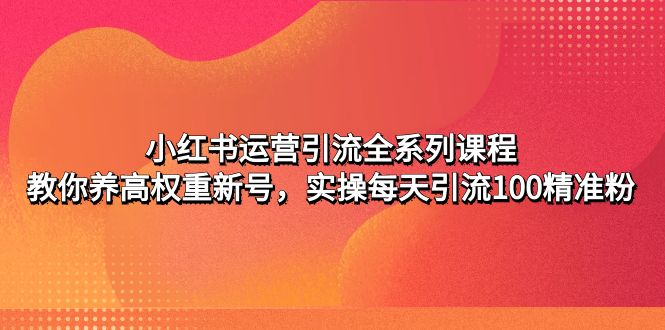 小红书运营引流全系列课程（教你养高权重新号，实操每天引流100精准粉）