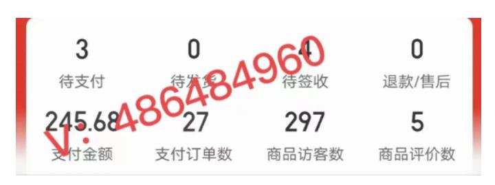 拼多多虚拟开店打卡群:新手到入门到精通(昨日群里有小伙伴日入3000+)