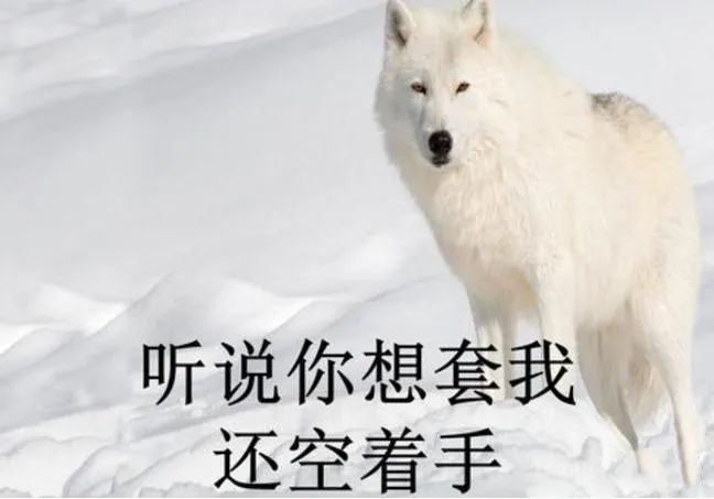 HR人力资源人力中介赚钱路野， 一单利润3000起步，年底买车买房！