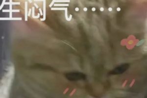 1个小城市赚大钱的模式