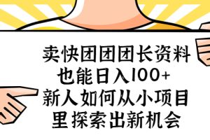 卖快团团团长资料也能日入100+ ，新人如何从小项目里探索出新机会
