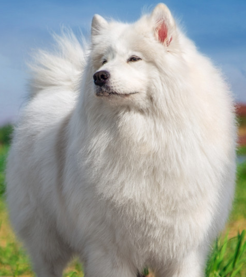 适合一人开店的加盟店有哪些?