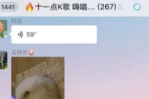 怎样在线上K歌社群中盈利？一单9.9，新手操作无难度！