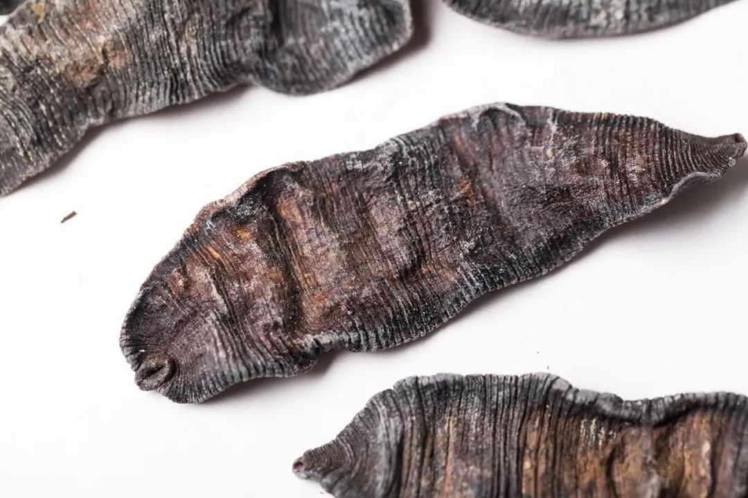 农村养殖赚钱项目,投10万成本,一年能赚50万利润!