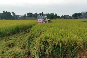 旱涝保收是什么意思（旱涝保丰收意思）