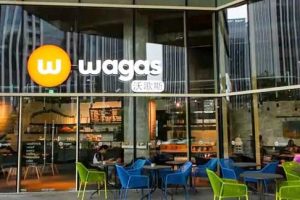 wagas怎么读英语发音（wagas是什么餐厅）