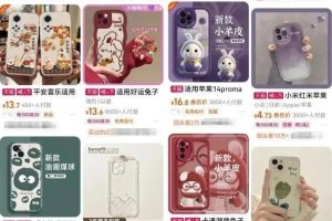 卖手机壳年入10W?教你如何操作!