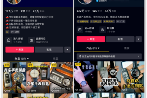 如何做汽车手表钥匙项目赚大钱？市场前景与利润详解！