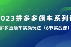 2023拼多多飙车系列课，多多直通车实操玩法大揭秘（6节实战课）