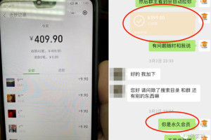 新手也能轻松入门!知识付费项目分享,百度SEO截流引流变现攻略