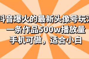 抖音头像号玩法分享，一条作品500w播放量，适合小白，多种变现方式