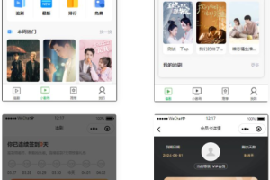 仿抖音滑动小短剧影视微信小程序源码 带支付收益等模式