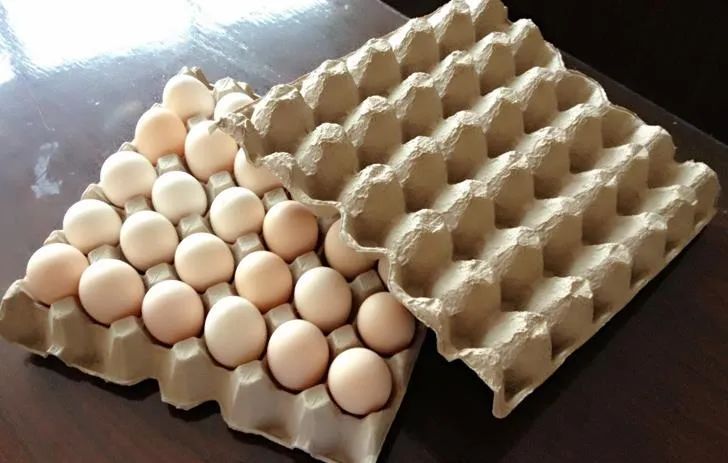 图片[1]-创业新选择！想在农村创业？开一家鸡蛋托加工厂吧！