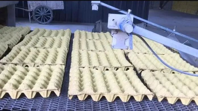 图片[2]-创业新选择！想在农村创业？开一家鸡蛋托加工厂吧