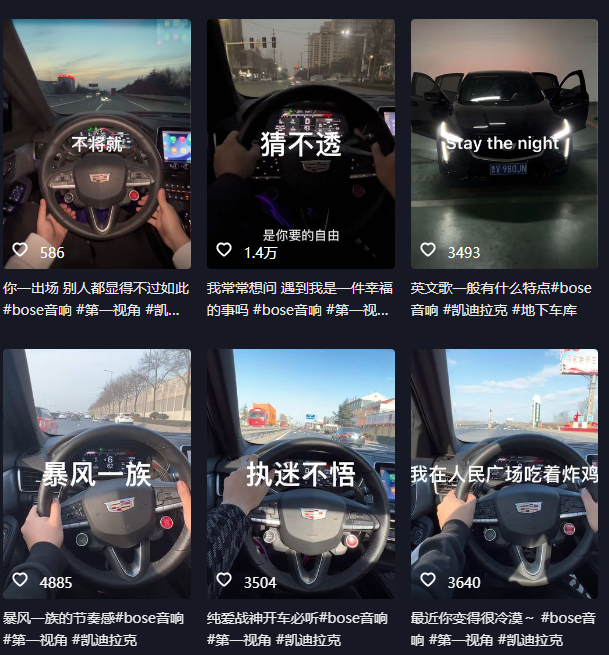 图片[2]-抖音开车视频项目，0基础操作，每天五分钟，月入1W+