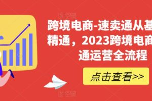 2023跨境电商必学！速卖通运营实战全流程，从0基础到精通！
