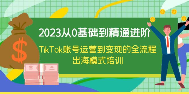 图片[1]-2023从0基础到精通进阶，TikTok账号运营到变现的全流程出海模式培训