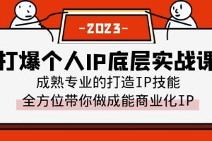 打爆个人IP底层实战课：全方位打造商业化IP+成熟专业的IP打造技能（51节视频课）