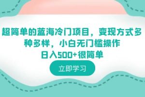 超简单蓝海冷门项目，小白0基础操作日入500+，多种变现方式助你轻松成功！