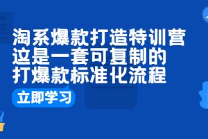 淘系爆款打造特训营：打爆款的标准化流程分享