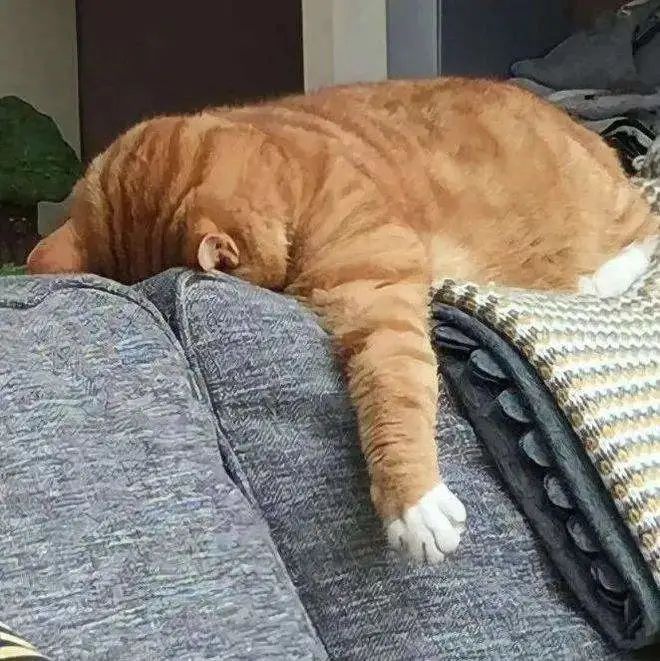 2022网络热词30个,你知道几个?