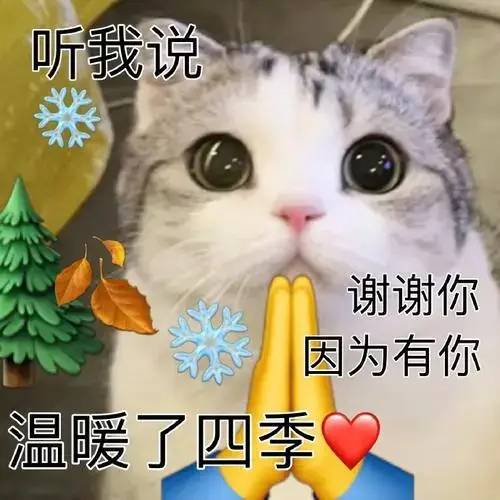 2022网络热词30个,你知道几个?