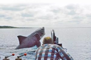 鲨鱼电影有哪些？人类对鲨鱼的认知，都在这10部电影里了