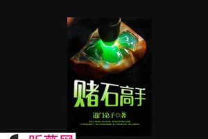 赌石类小说有哪些（关于赌石类的小说经典推荐）