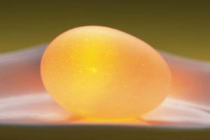 经典卵蛋gif剧情图解版，画面感太强难以抵挡