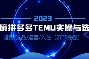 2023跨境拼多多TEMU实操与选品，趋势选品运营全解析（27节完整）