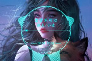 徐良小凌演唱会(321徐良 小凌)