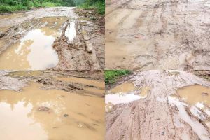 沾路边积水身体腐烂(路面有积水我给开过去了怎么办)