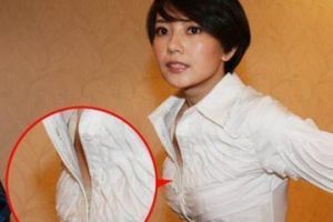 高圆圆湿剃门事件是怎么回事？