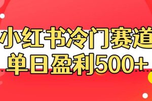 小红书冷门赛道，教你单日盈利500的秘密方法！