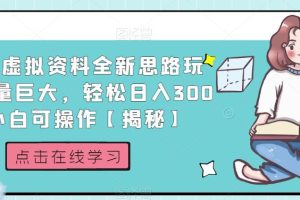 小红书虚拟资料全新思路玩法，流量巨大，轻松日入300+，小白可操作