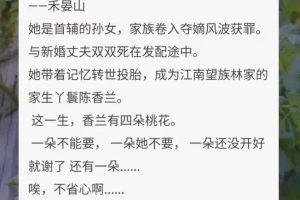 三观不正但好看的小说（男主有妻子女主是小三高干文）