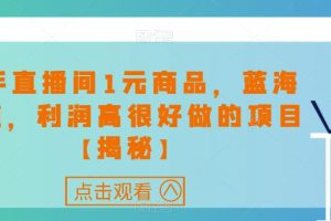 快手直播间1元商品，如何利润高走上蓝海赛道【揭秘】