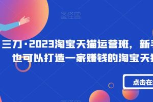 淘宝天猫运营班教程，从注册到引流全覆盖