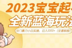 2023宝宝起名全新蓝海玩法，冷门暴力小白实操，日入1000+（全套教程）